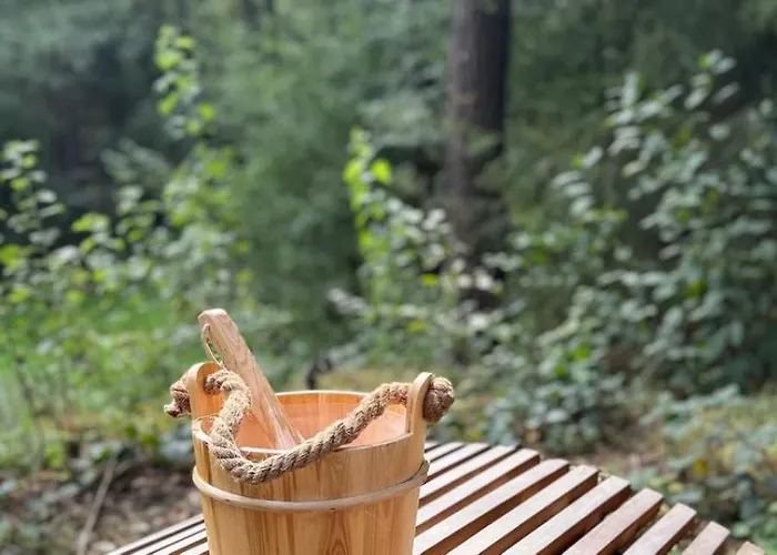 Uhu Mit Aussensauna Ferienhaus Lage (Lippe)